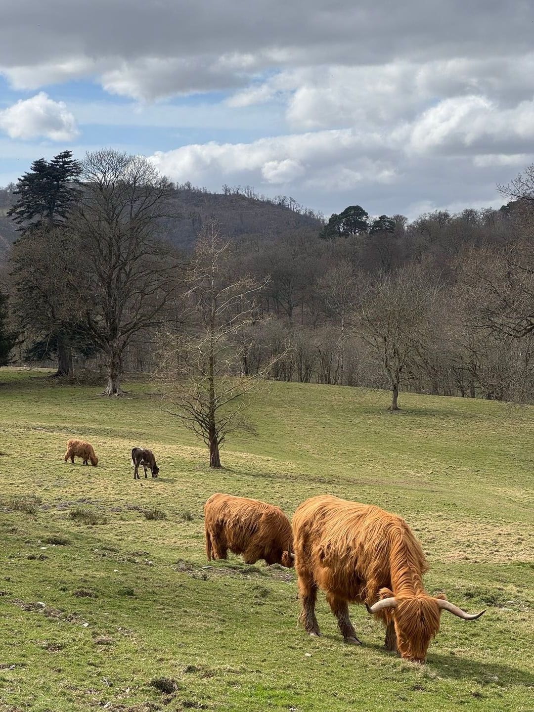 Luke Selby Pale Hall